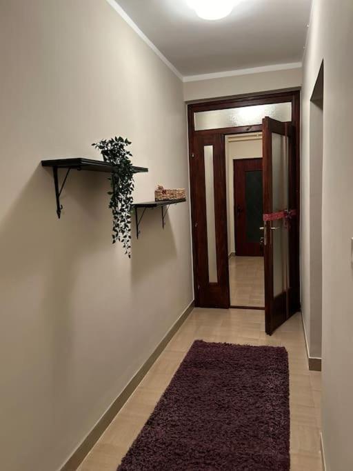 Apartament Jordan Apartman Niska Banja Zewnętrze zdjęcie