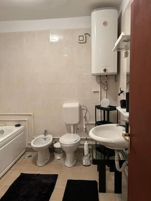 Apartament Jordan Apartman Niska Banja Zewnętrze zdjęcie