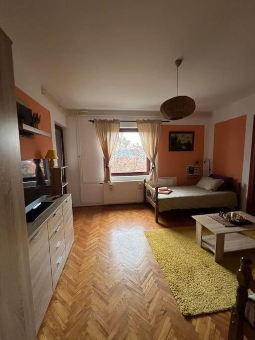 Apartament Jordan Apartman Niska Banja Zewnętrze zdjęcie