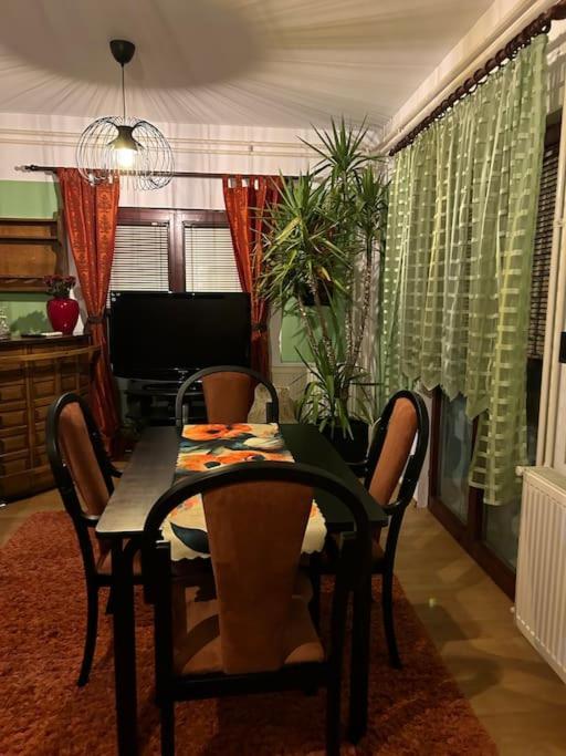 Apartament Jordan Apartman Niska Banja Zewnętrze zdjęcie