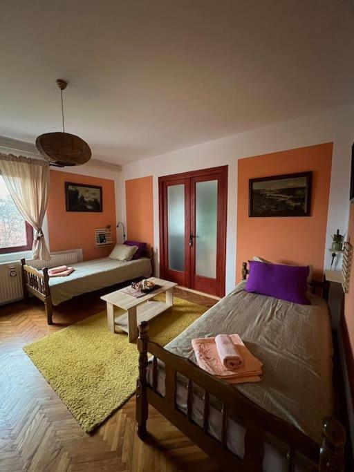 Apartament Jordan Apartman Niska Banja Zewnętrze zdjęcie