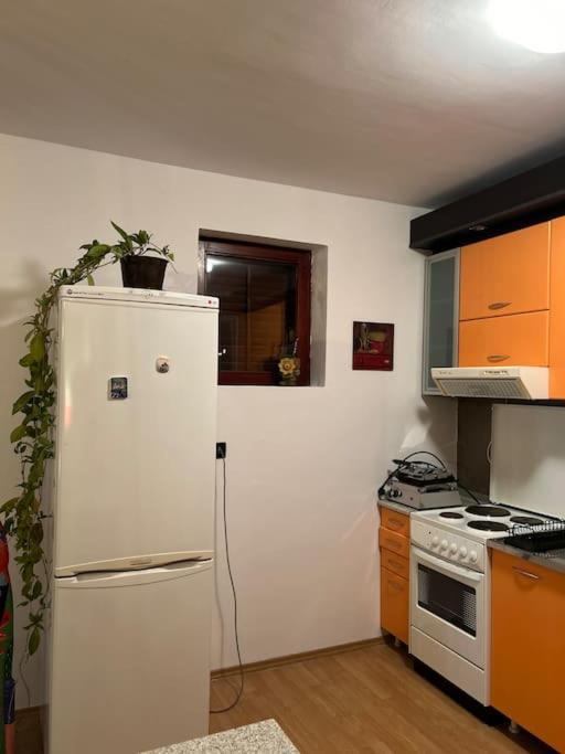 Apartament Jordan Apartman Niska Banja Zewnętrze zdjęcie